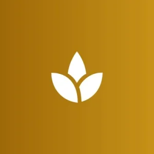 Daily Mindfulness Meditation Guide