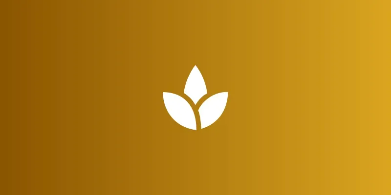 Daily Mindfulness Meditation Guide