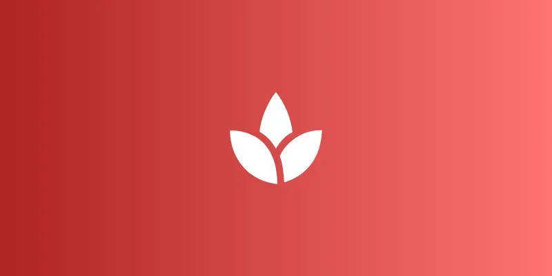 Virtual Meditation Session Guide
